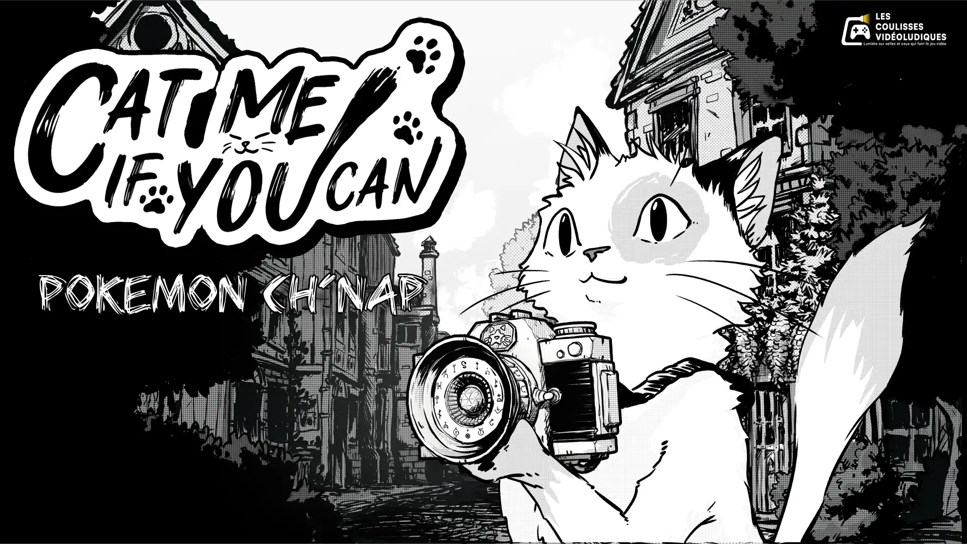 Cat Me If You Can : trois petits chats, trois petits chats, trois petits chats, chats, chats…